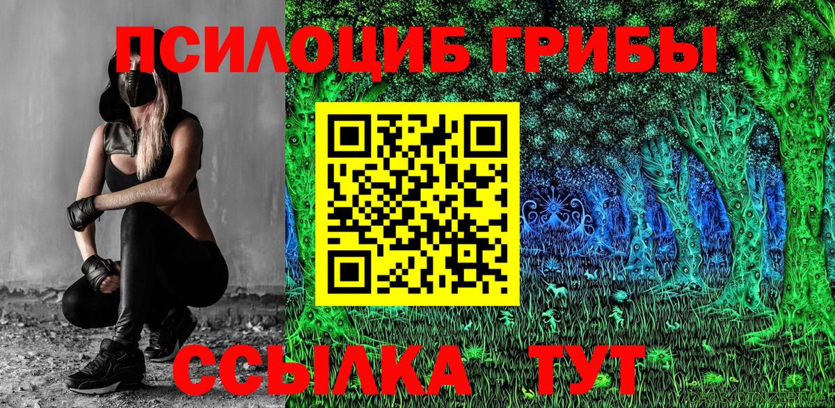 Галлюциногенные грибы Cubensis Ипатово